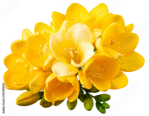 Fresh Yellow Freesia Flower Bouquet, isolated on transparent background PNG