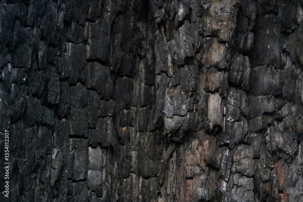 Fototapeta premium charred tree bark, highlighting rugged textures and natural patterns, ideal for backgrounds, nature, or abstract-themed designs