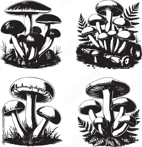 mushroom silhouette with cap and stem, vector black and illustration.