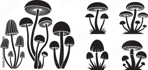 mushroom silhouette with cap and stem, vector black and illustration.