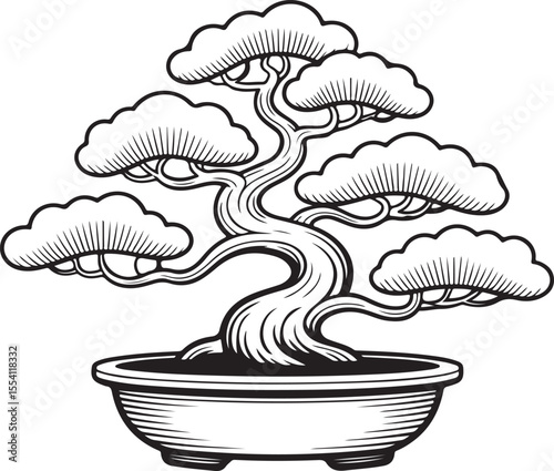 Cedar Grove Bonsai Tree Line Art