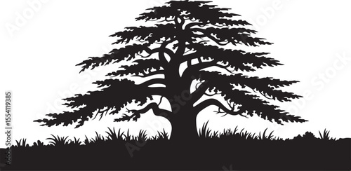 Cedar Grove Bonsai Tree Line Art