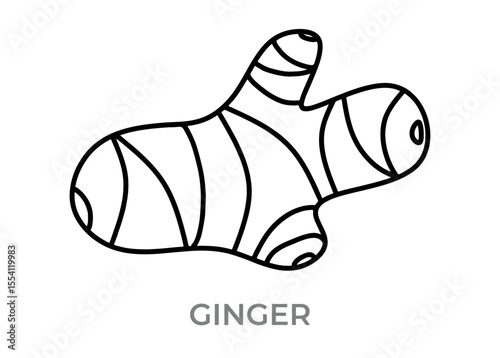 vector illustration of a ginger icon