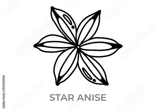 vector illustration of a star anise icon
