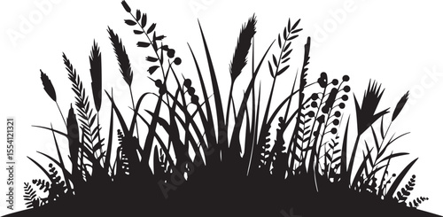 Black Silhouettes of Various Grasses and Reeds