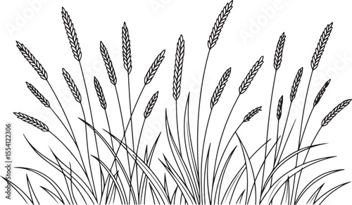A black and white line art illustration wheat a field of tall grass with prominent seed heads.