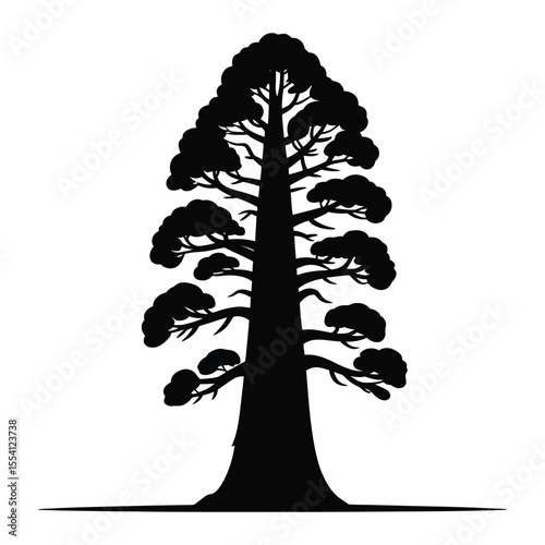 Black Silhouette of a Tall Coniferous Tree silhouette