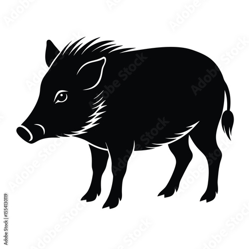 Peccary  silhouette vector on white background