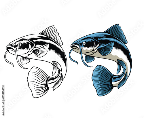 Hand Drawn Illustration of Catfish Isolated with black and white version