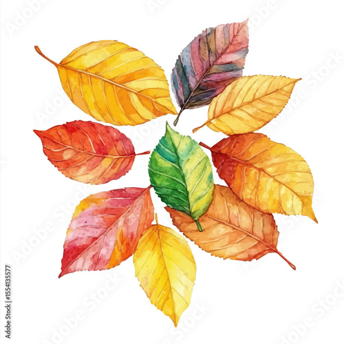 Autumn Leaves Forest Floor, watercolor illustration vector, isolated on a white background.