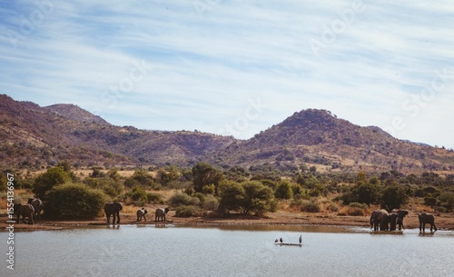 Elephants at lakeshore by mountain