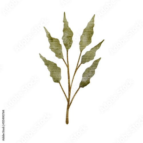 Watercolor Leaf