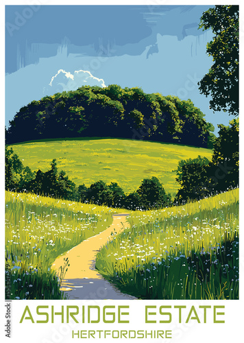Ashridge Estate Vector Illustration of Hertfordshire Landscape.