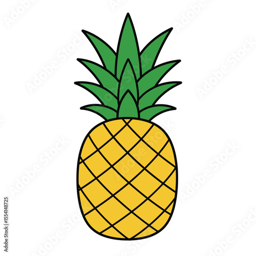 pineapple vector illustration