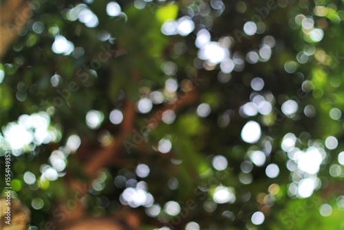 Canvas Print Abstract bokeh of sunlight filtering through tree leaves, creating a soft, blurred effect with circular light spots