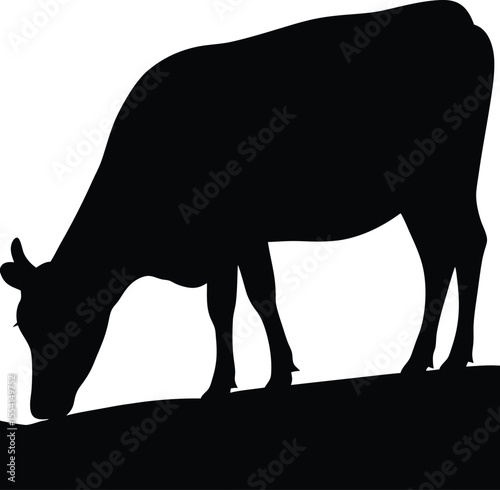Cow silhouette, Black cow silhouette, animal silhouette