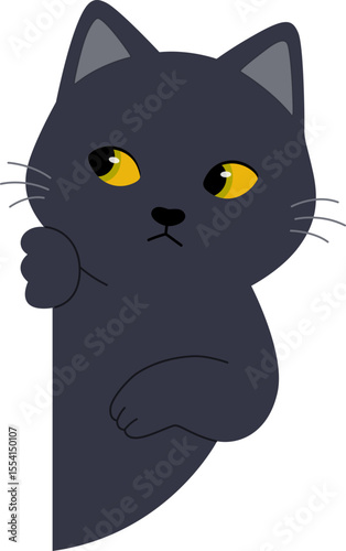Cute Black Cat Peeking
