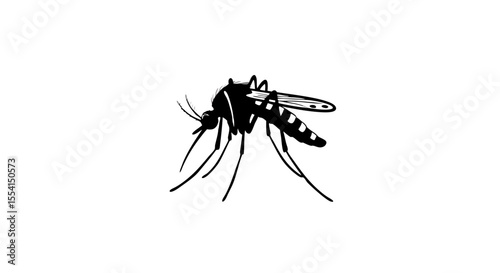 Detailed Black and White Mosquito Vector Style Art on  isolated transparent background Mosquito in Profile: Vector Art for Scientific or Educational Use 