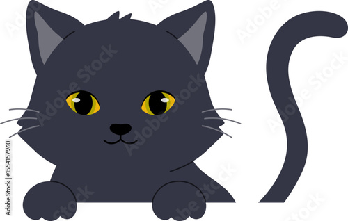 Cute Black Cat Peeking