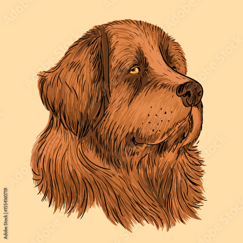 Sweet chocolate brown newfoundland dog illustration.