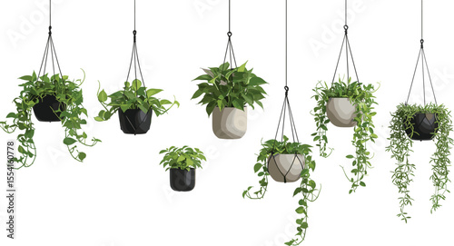 Hanging indoor plants with modern ceramic pots, lush green foliage enhancing home decor, perfect for minimalist style, interior design inspiration, eco-friendly decoration piece