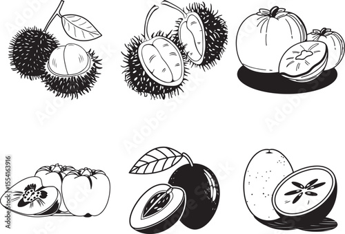 Illustration vector fruit bundle art set