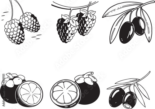 Illustration vector fruit bundle art set