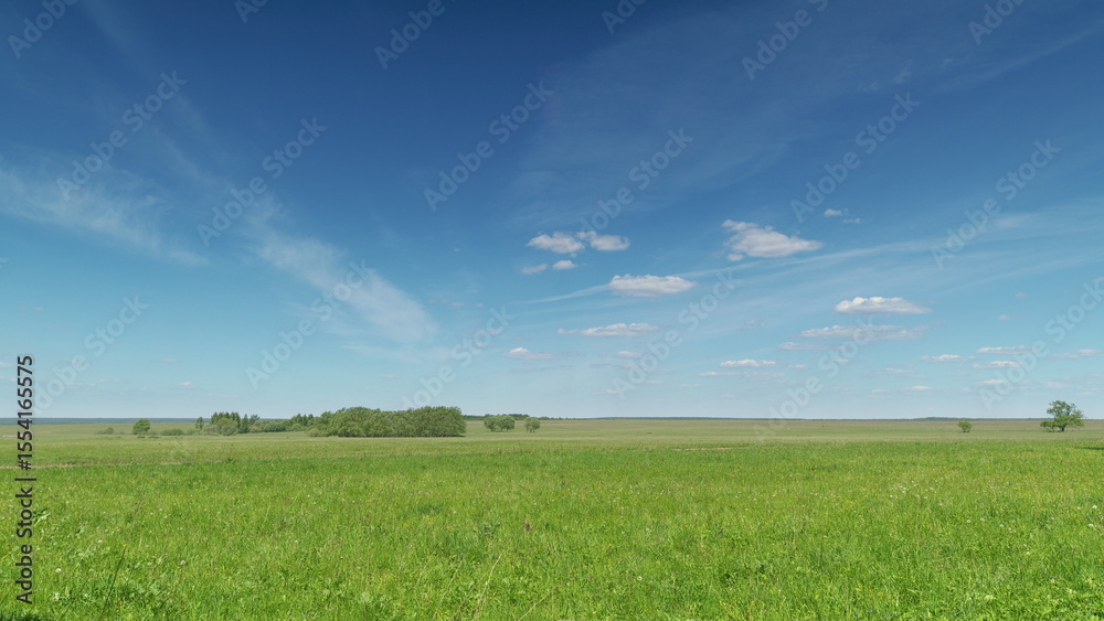 Fototapeta premium A Vast Green Landscape Sprawled Out Beneath a Clear and Bright Blue Sky in Serenity