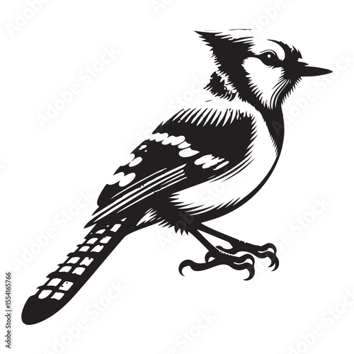 vector illustration of a bird