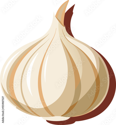 vector illustration of  Garlic