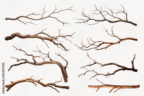 Tree branch element set