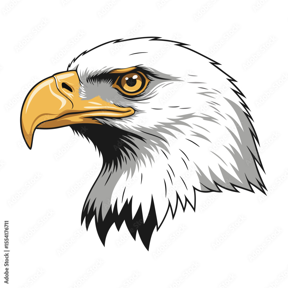 Fototapeta premium A powerful American bald eagle vector illustration portrait with a sharp beak, intense eye, and detailed feathers