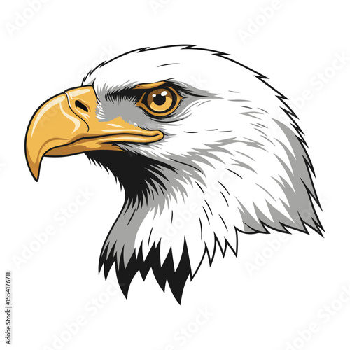 A powerful American bald eagle vector illustration portrait with a sharp beak, intense eye, and detailed feathers