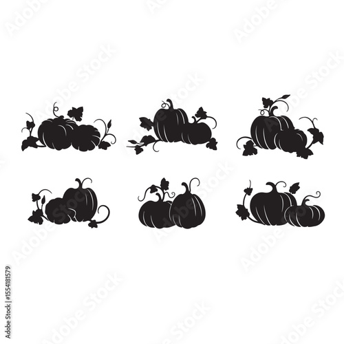 Pumpkin. Set of silhouettes of different pumpkins. Vector illustration. Isolated silhouette vegetable, leaves, flower and seeds.
