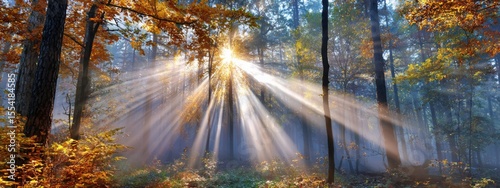 Misty Morning Sunbeams in a Golden Autumn Forest