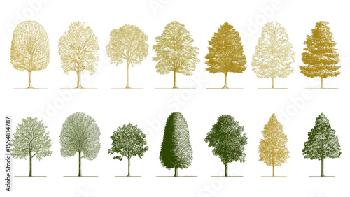 Minimal style cad tree line drawing, Side view, set of graphics trees elements, tree sketches, silhouette tree vector element