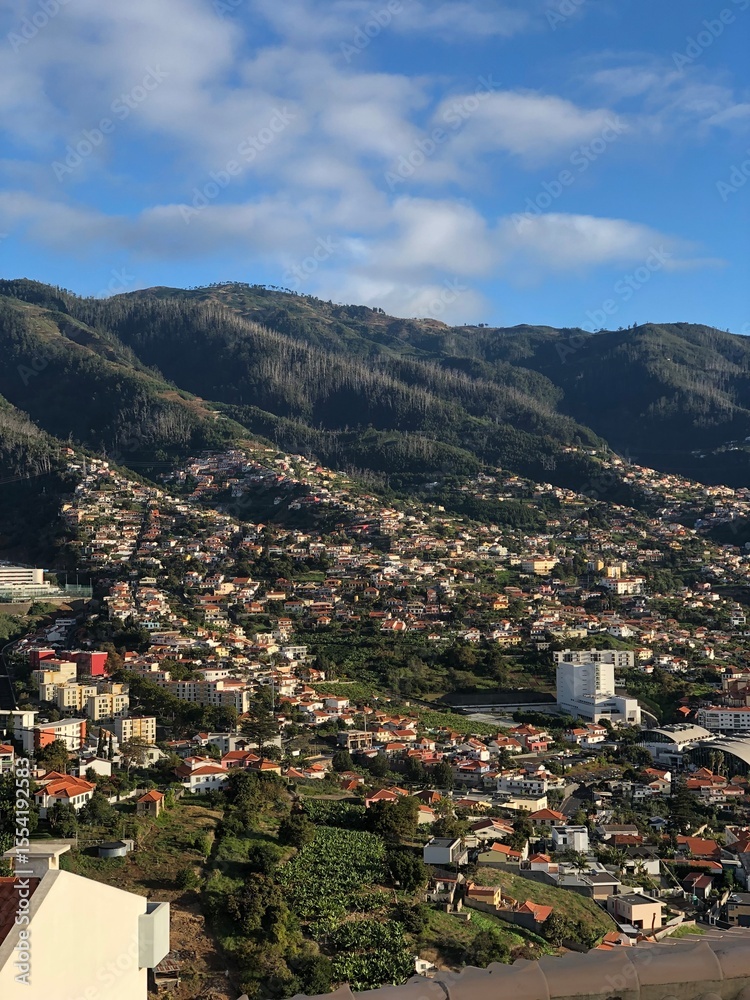 Fototapeta premium view of the city