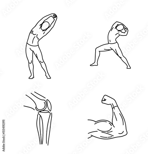 Line drawings depicting yoga poses, a knee joint, and a flexed arm muscle for anatomical study usage