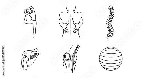 Collection of line drawings depicting yoga pose, spine, hands, shoulder, knee, and egg shape