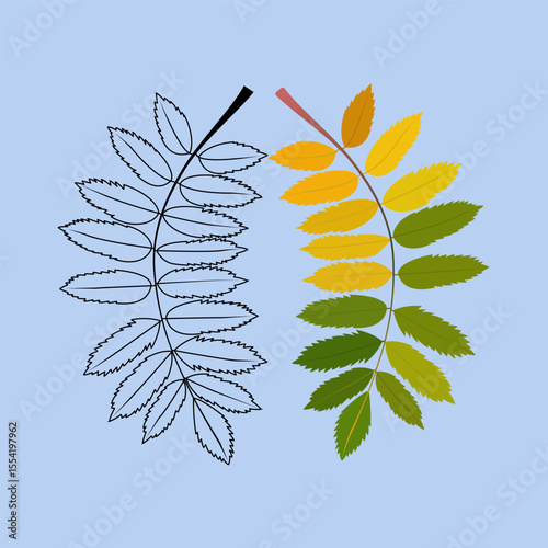 A charming assortment of various botanical leaves, intricately hand-drawn with a sketchy, organic feel. This collection features a diverse range of leaf shapes, from tropical monstera and delicate fer