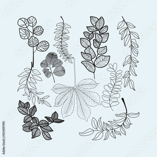 A charming assortment of various botanical leaves, intricately hand-drawn with a sketchy, organic feel. This collection features a diverse range of leaf shapes, from tropical monstera and delicate fer