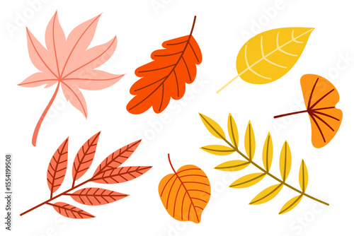 Colorful Set of Autumn Leaves