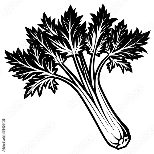 bunch of parsley