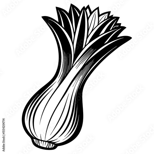 onion isolated on white