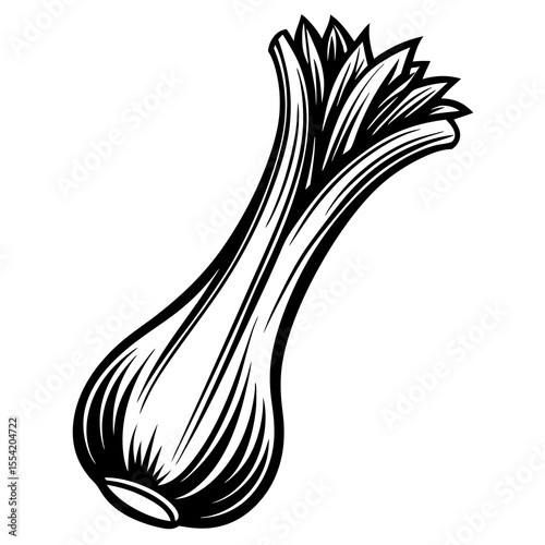 onion isolated on white