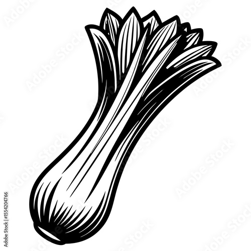 onion isolated on white
