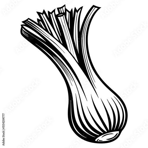 onion isolated on white