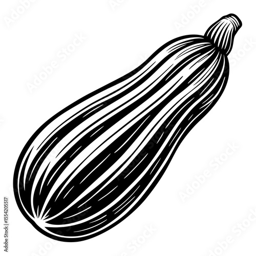 onion vector illustration