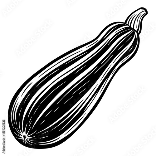 vector illustration of an onion