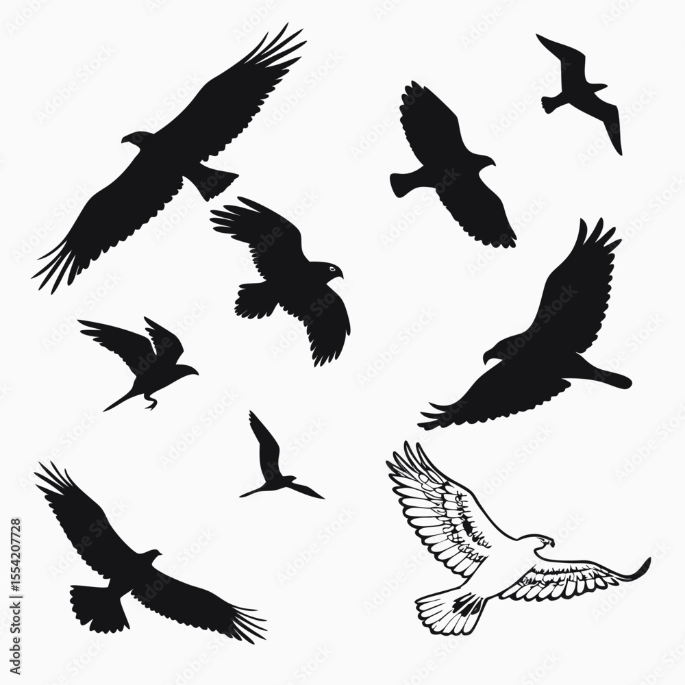 Obraz premium set of silhouettes of birds